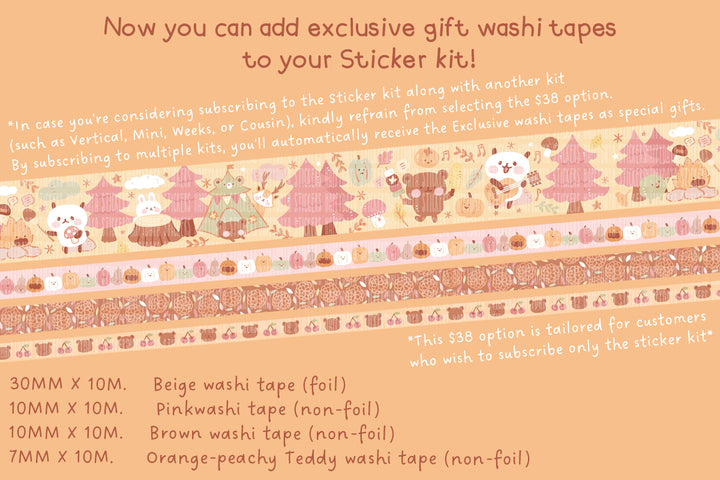 KIT25-Product photos-4 ST7 Washi Multi add